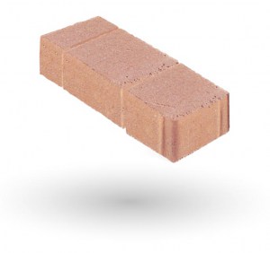 SALMÓN